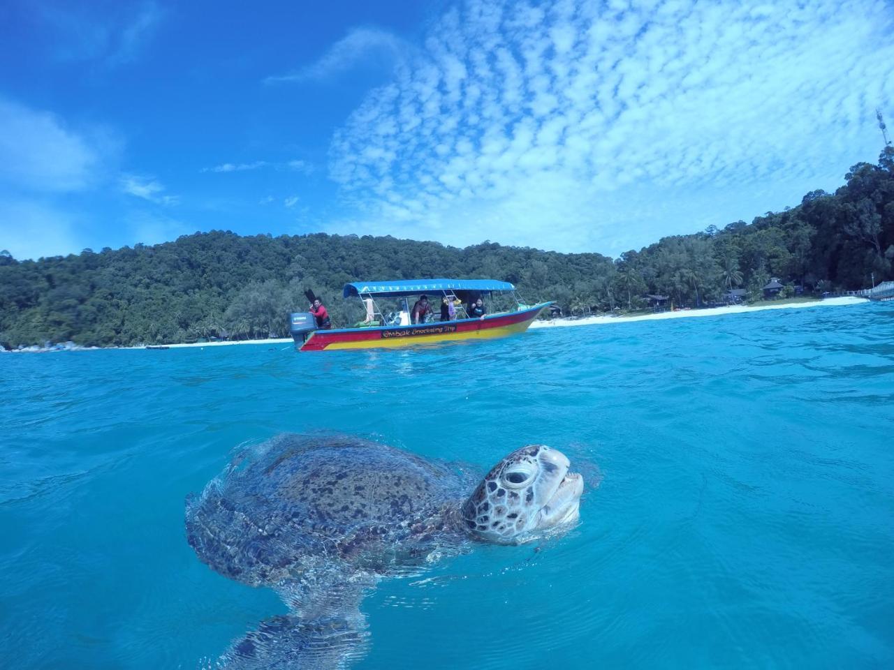 Ombak Dive Resort Perhentian Island Pulau Perhentian Kecil Dış mekan fotoğraf